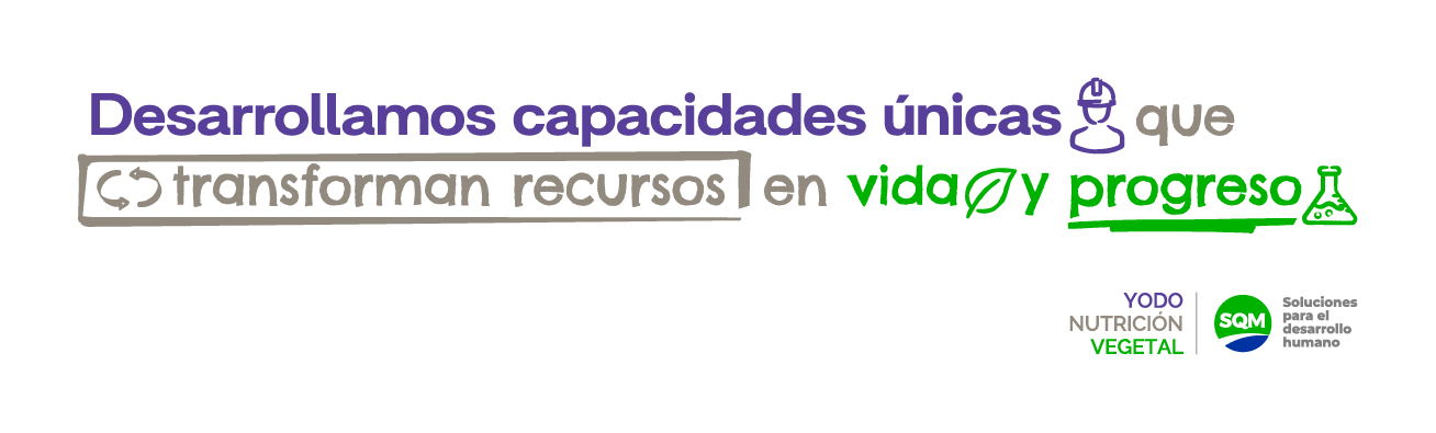 Propósito